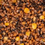 Зерновая смесь MINENKO Spod Mix (4кг)